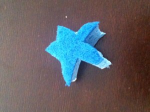 We Made this Sponge a Star!