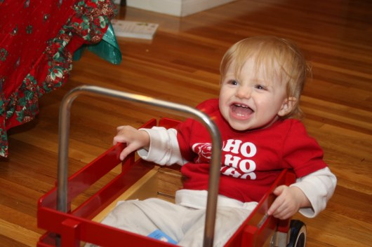 T at 14-months-old. I guess he didn't train this season either, but he did get into a small wagon (close!).