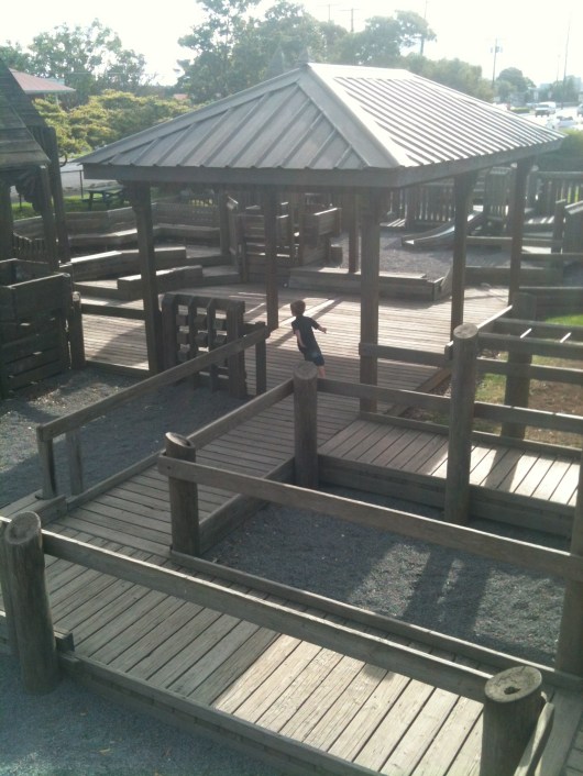 T running through the paths and other wooden structures at Anuenue Playground.