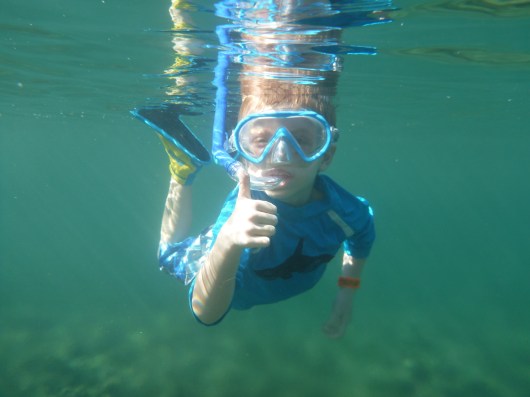 I'm T, and I approve of snorkeling!
