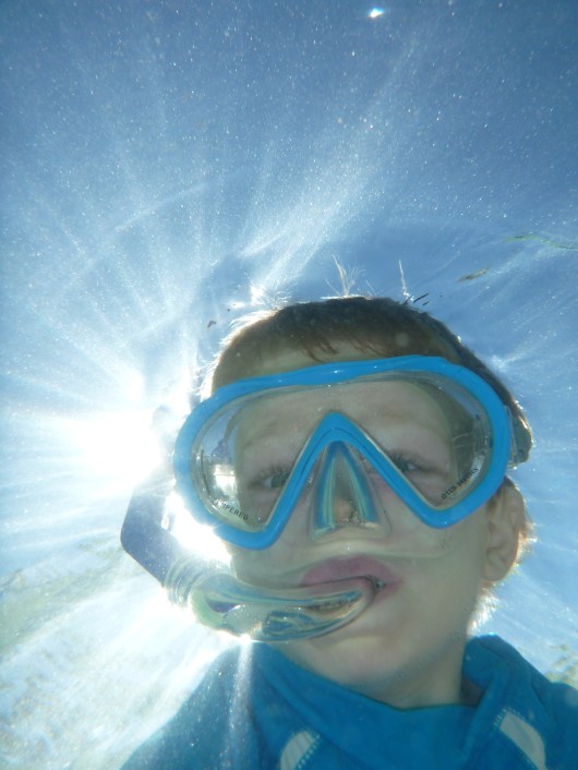 Have you seen the light and discovered the beauty and awesomeness that is snorkeling?