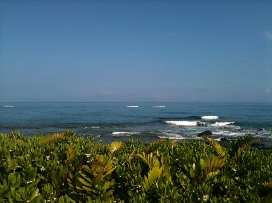 A view from the Kona Pool area of the Hilton Waikoloa Village Resort.