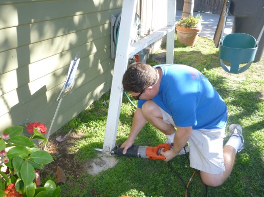 C making the first cuts that will ultimately bring down the swing.