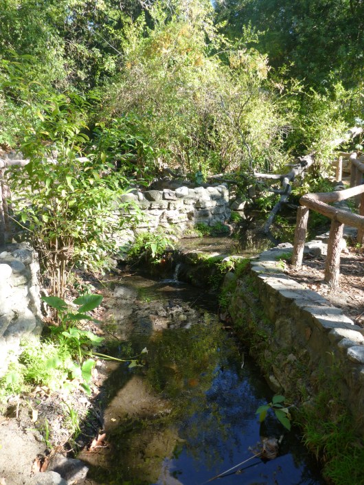 Ferndell in Griffith Park, Los Angeles.