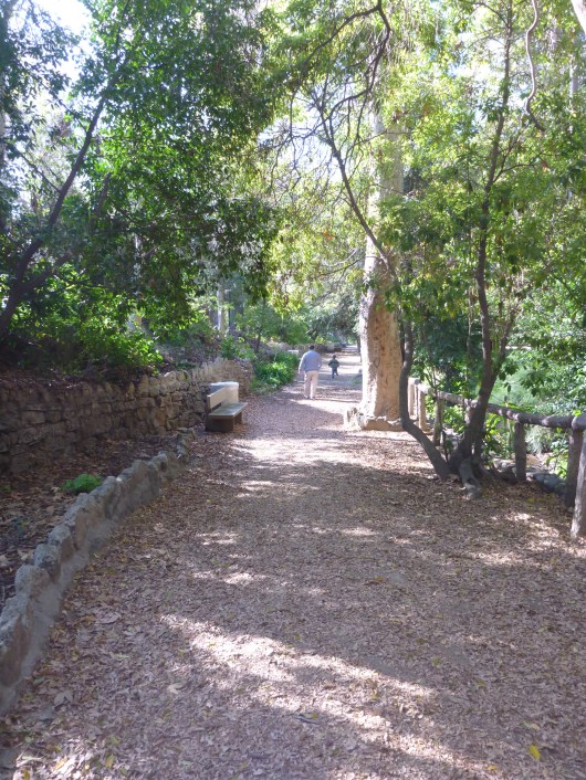 Coming back down Ferndell toward the entrance at Los Feliz Blvd. and Fern Dell Drive. That's the good news: The walk back is downhill (not that it was long or rigorous, but still it's nice to look forward to!).