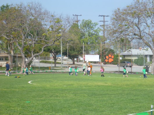 See, big loop! That's the opposite corner from where we were watching T run.