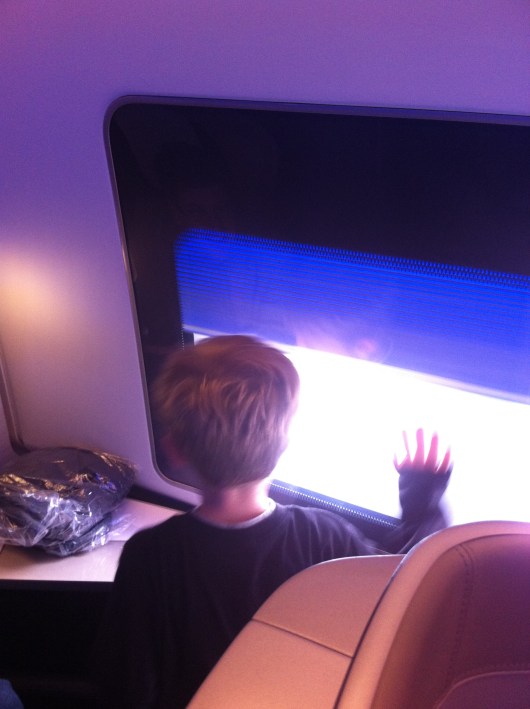 T was fascinated by the automated window shades in BA's First cabin. Hey, whatever entertains you and isn't bothering anyone else, go for it, T!