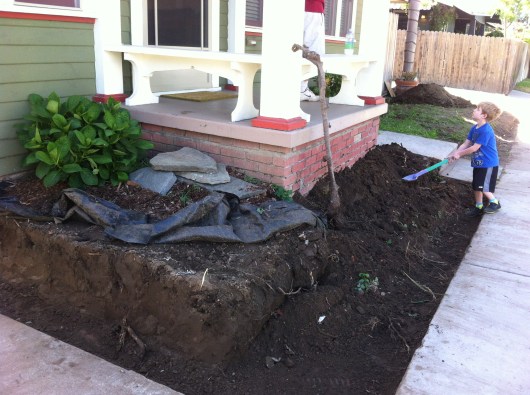 T digs a trench in our front yard. OK, so he didn't dig it, C did, but he's been helping in his own special way since the start of this large project. Go, boys, go!