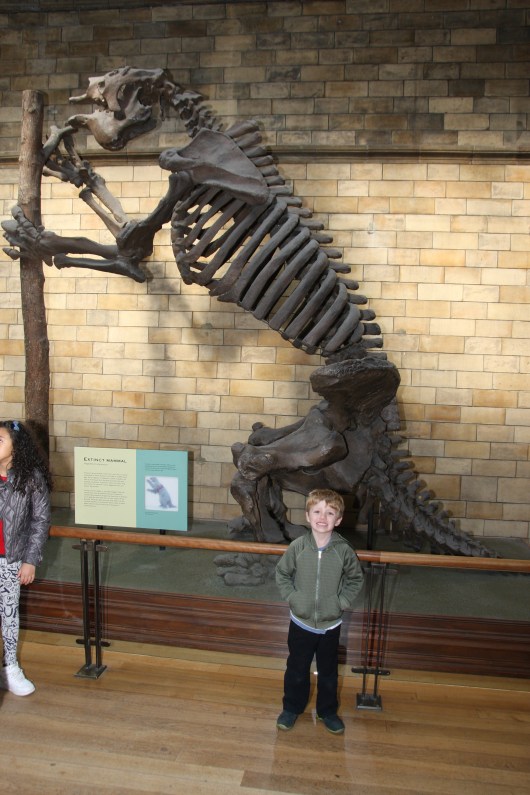 T in front of one of the dinosaurs on display at London's Natural History Museum. This was one we didn't have to queue to see.