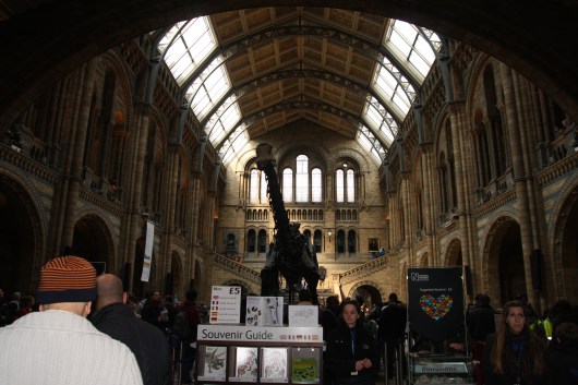 Dinosaur foyer at the Natural History Museum, London. Visitors queue here for the larger dinosaur gallery (entrance is to the left in this photo).