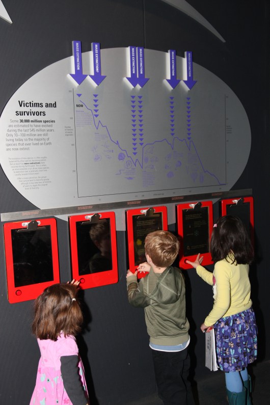 Hands-on activities for everyone at NHM, London.