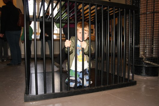 T's turn in the animal cage at the Tower of London.