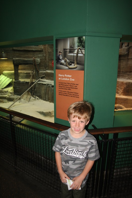 We returned to London in June 2014 and on that trip we got out to ZSL London Zoo, or the home of the infamous Reptile House from the original Harry Potter movie.