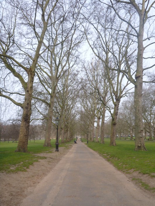 A tree-canopied path inside of Green Park, London, one of the Royal Parks' eight open spaces dedicated to royal and natural preservation in the city-center.