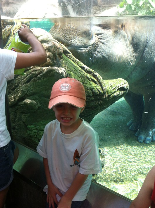 Close-up of T with hippo at the San Diego Zoo.