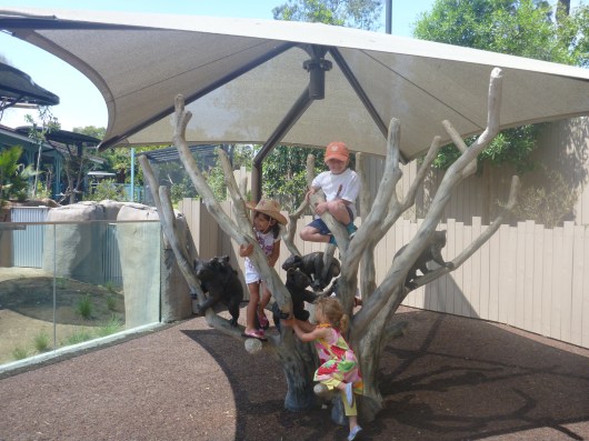T and some other kids climbing a "eucalyptus tree" at Koalafornia Dreamin' inside the San Diego Zoo.