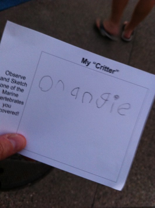 T named a critter "Orangie"... I wish he'd sketched it because I tried to find it in the bucket but couldn't!