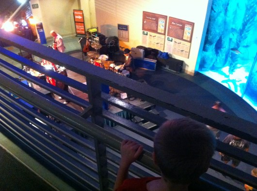 T takes a break to ook down from the second floor of the Aquarium to listen to the lively tunes of Ronny and the Classics.