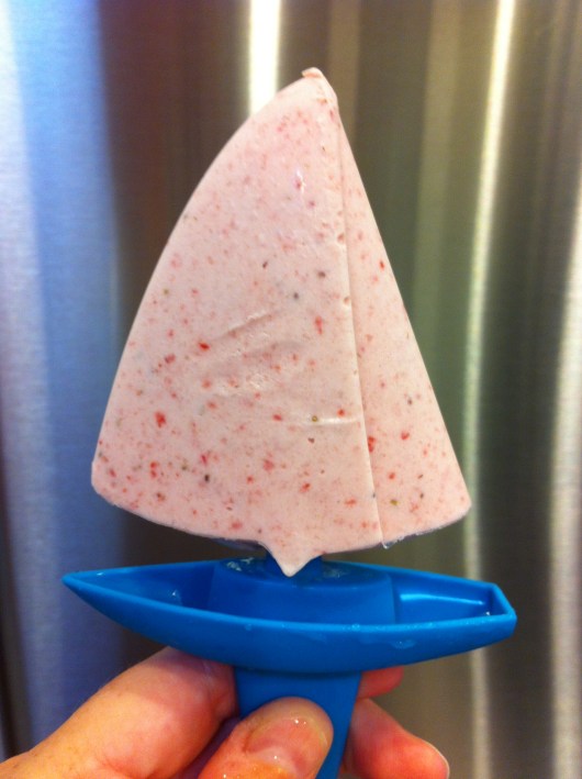 Sail away this 4th of July with an endless fleet of homemade ice pop treats!