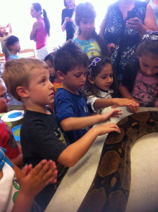 The kids all got a chance to touch the red-tail boa at the end of the show. T's face is pretty questionable about this, but his friend got right in there!