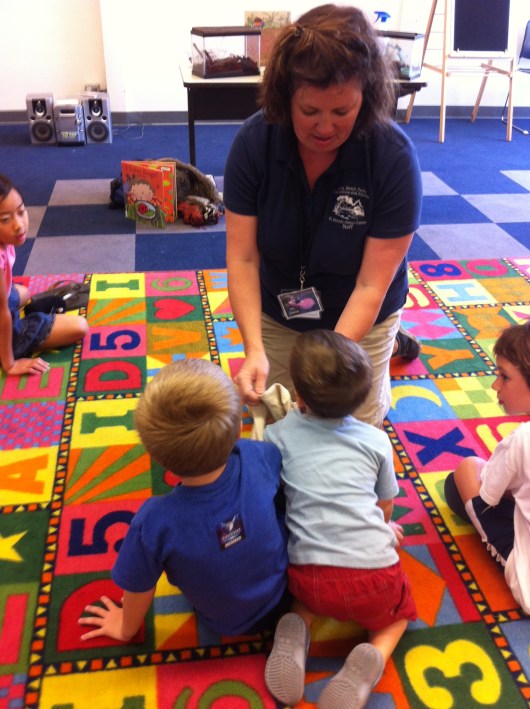 Ooh, what's in the bag? While us adults were wary of whatever was coming out of that bag, these kids were fearless and dove right in there to get a good grasp on all the creatures.