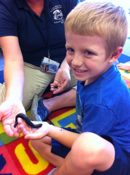 T holding a millipede of some (large) sort during the El Dorado Nature Center show at the library Wednesday.