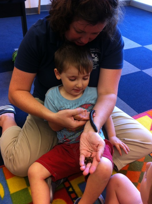 T's friend isn't even three-years-old yet and here he is front and center with Ms. Dana letting a millipede crawl all over his arm! What a brave kid!