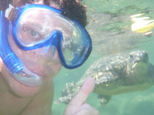 OMG, C, a turtle just photo-bombed you!