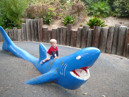T on the shark (August 2009). I didn't see him on or around this area this time, but admittedly I gave him a lot more room to roam this time at 5-1/2-years-old than I did when he was just a toddler.