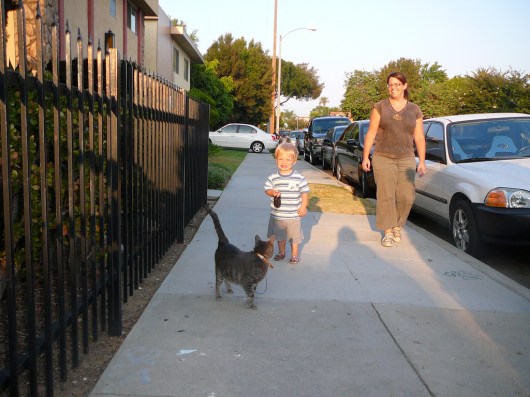 T walking Remy the Cat in 2009. Even back at the ripe age of 1-1/2 T started to learn what it means to be a great neighbor.