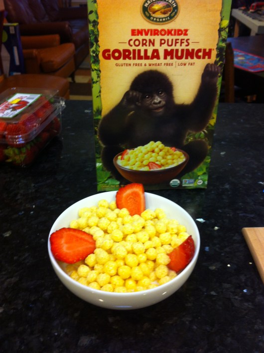 The inspiration: A box of Gorilla Munch. 