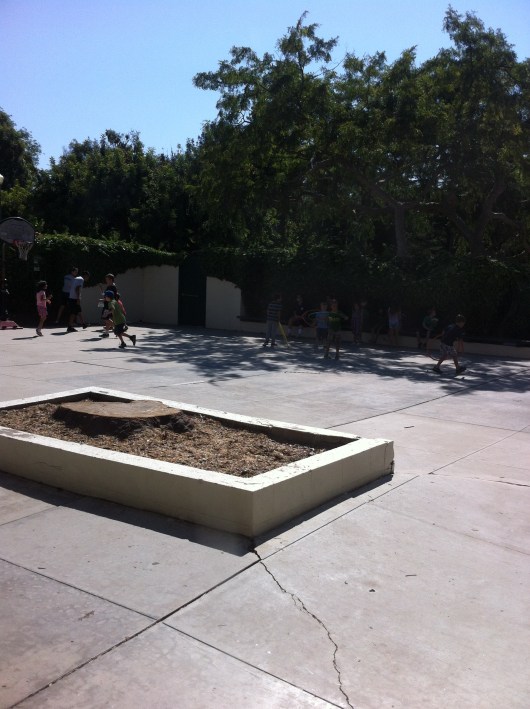 I call this area "the yard" as it is a closed-off courtyard for the campers to play in the afternoons. There is a larger, more open park and playground inside of Wardlow Park, but the counselors prefer the kids to play here around pick-up time so the campers are easy to find.
