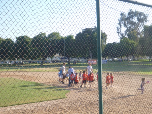 Great season, Sluggers!