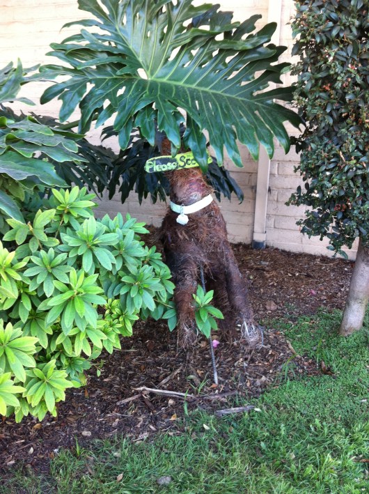 This pup ends our garden tour today. Thanks again to the artist(s) responsible for these natural, handcrafted additions to our neighborhood!
