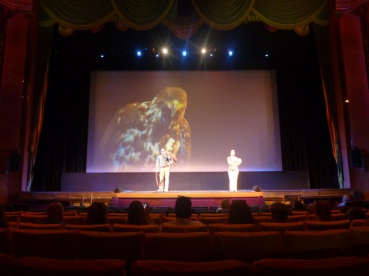 Dakota the Bald Eagle swooped in with the Wildlife Learning Center along with a few other feathered friends before the Planes screening at the El Capitan Theatre.