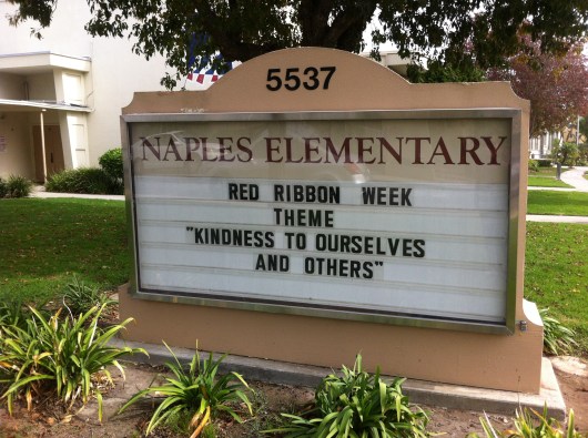 Red Ribbon Week 2013 at T's school.
