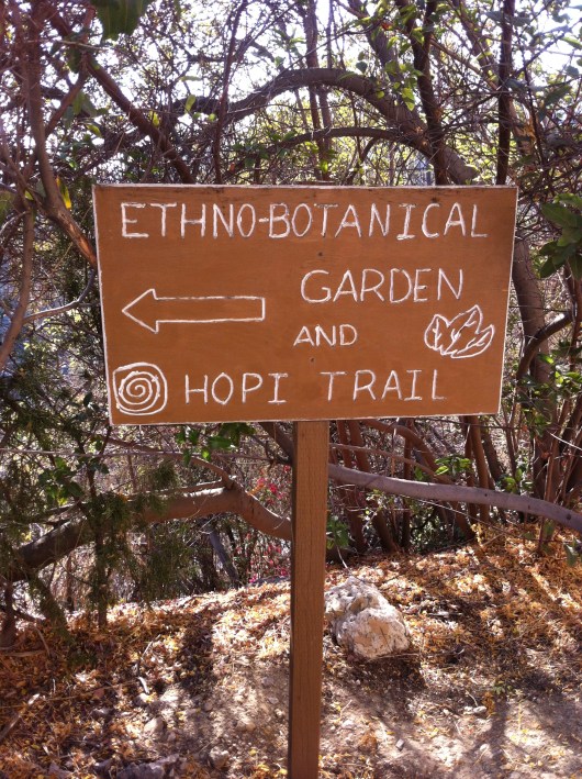 Out back is the Southwest Museum's garden and trails. Visitors are free to explore as long as they like during hours of operation.