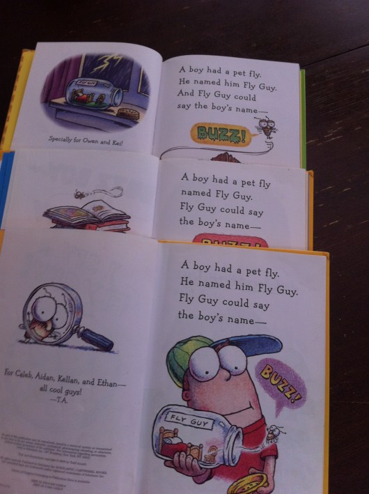 Every "Fly Guy" book starts out very much the same way. This has helped T relate all of the books as part of a series in several ways: Writing style, characters, and themes.