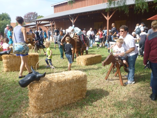 C helped T rope his hay cattle.