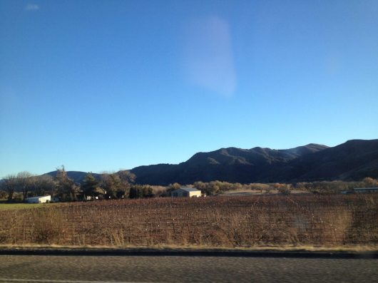 On our way to Kessler-Haak Wine on the Santa Ynez Valley Wine Road (CA Route 246).
