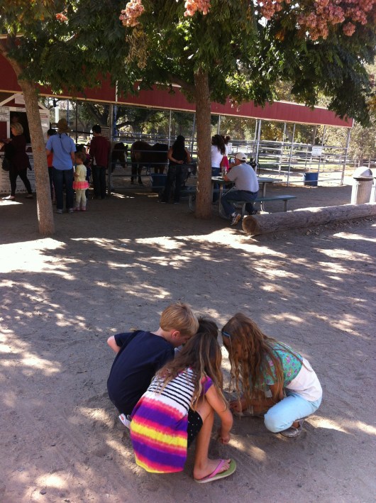 Digging in the dirt. Not everything costs admission, RMT'ers!