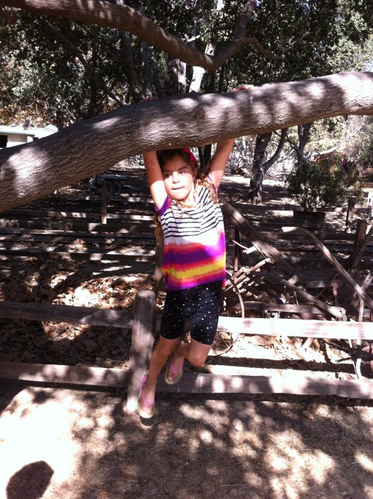 Hang in there, Shay!