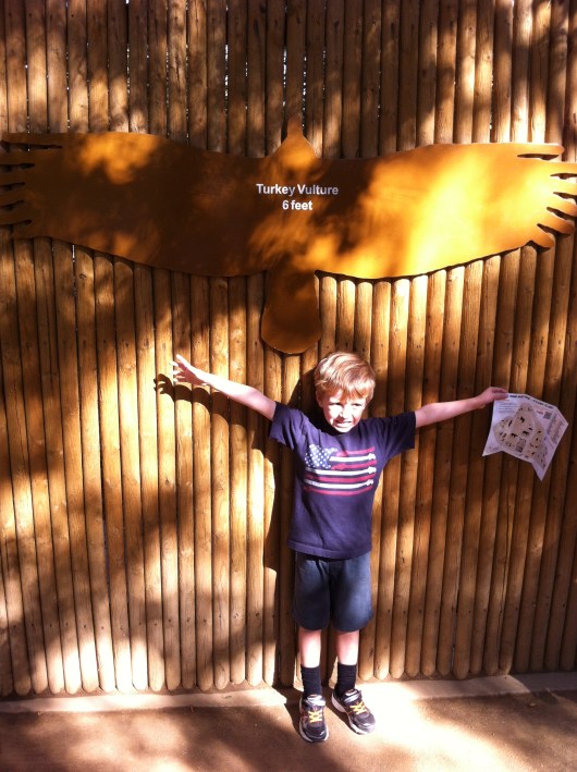 I hate to tell you, T, but that bird could swoop you right up!