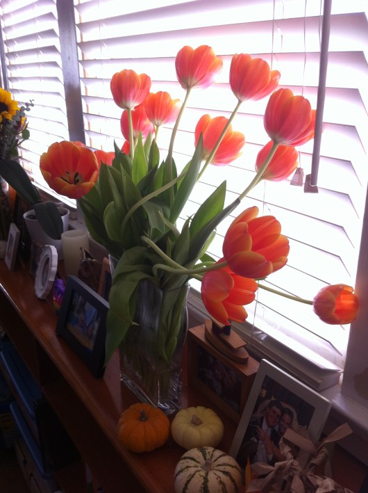 Just one of the gorgeous bouquets we received this Thanksgiving from our gracious guests.