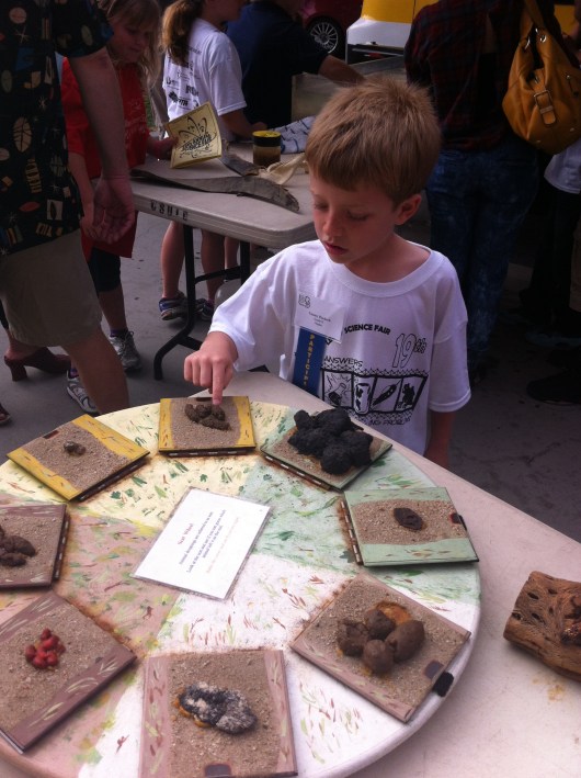 That's poo, T. All kinds of models of animal poo. But the kids loved it as they waited their turn at this year's district science fair.