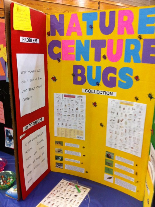 This was one of the projects done by a friend of T's.