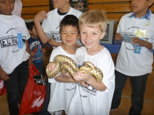 Snakes and friends, together at last, at this year's district science fair.