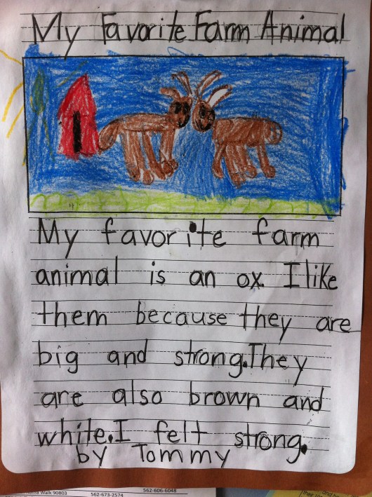 A story T wrote in April 2014.