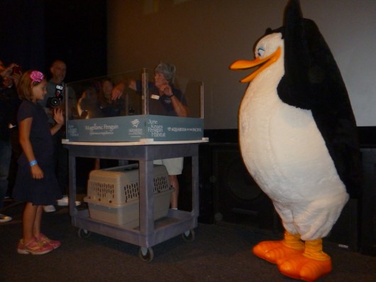 Hooray! The name of the new penguin chick at the Aquarium of the Pacific is...