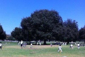 T is about to field a ball at Shortstop and make an out at second base during one of his scrimmages with Tom Hicks Baseball Camps. I arrived just in time to see it.